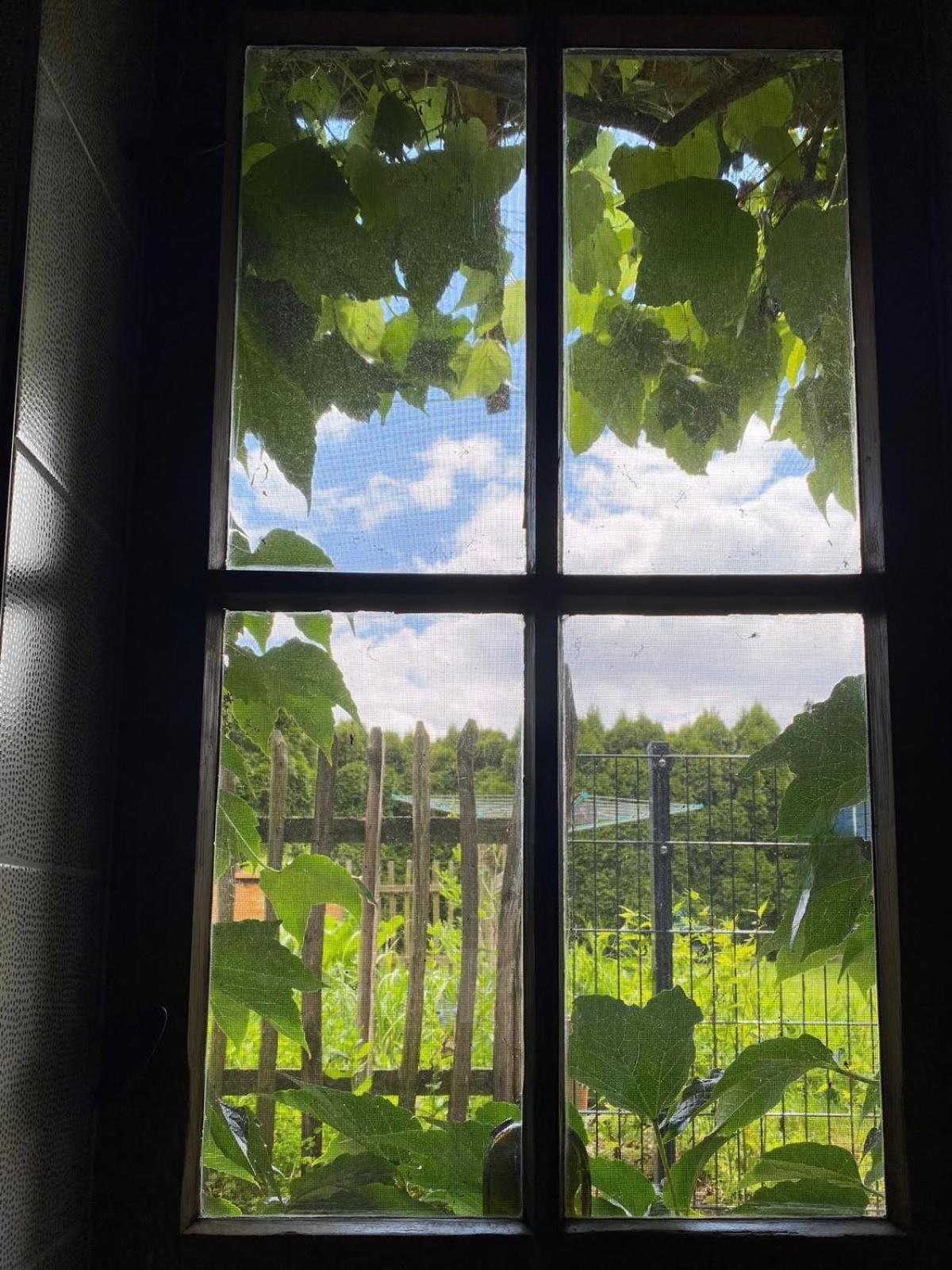 Appartement Doesjes Huis Naumburg  Buitenkant foto